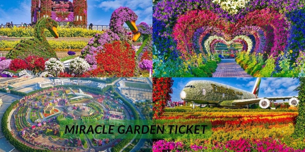 Miracle Garden Ticket