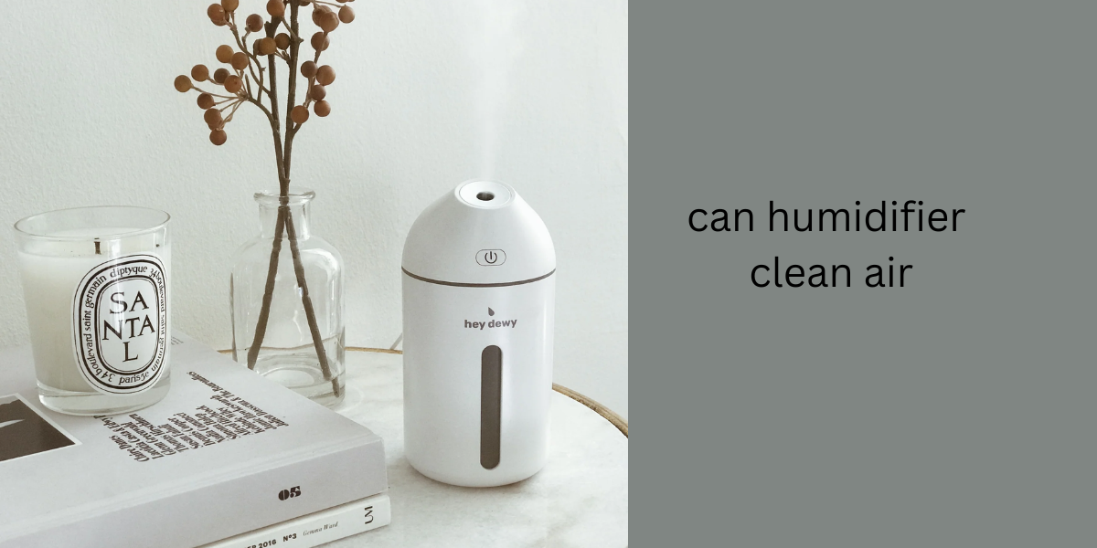 Can Humidifier Clean Air