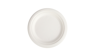 Why Ecosource is the Best Choice for Wholesale Disposable Plates